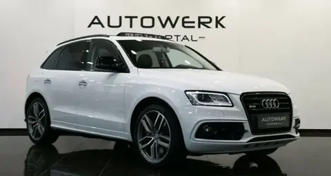 Annonce AUDI SQ5 Diesel 2016 d'occasion 