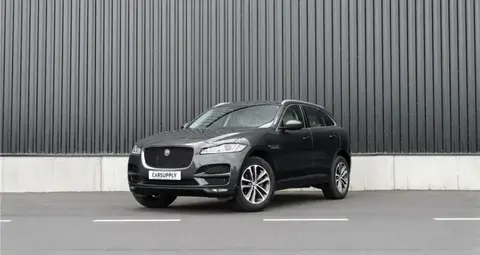 Used JAGUAR F-PACE Diesel 2017 Ad 