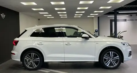 Used AUDI Q5 Hybrid 2020 Ad 