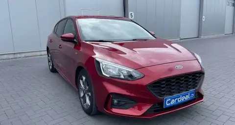 Used FORD FOCUS Petrol 2019 Ad Belgium