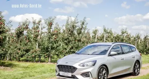 Used FORD FOCUS Petrol 2019 Ad 