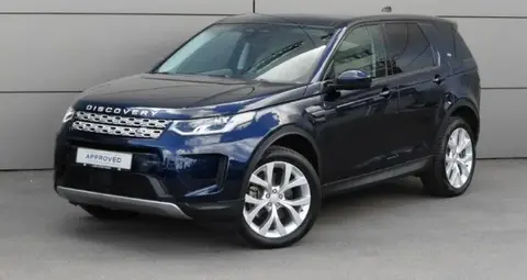 Used LAND ROVER DISCOVERY Hybrid 2022 Ad 