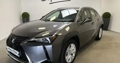 Used LEXUS UX Hybrid 2021 Ad 