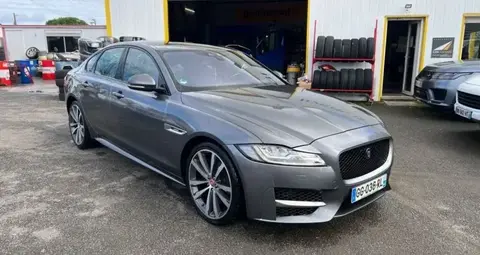 Annonce JAGUAR XF Diesel 2017 d'occasion 