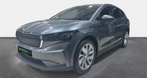 Annonce SKODA ENYAQ Hybride 2024 d'occasion 