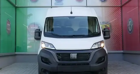 Annonce FIAT DUCATO Diesel 2024 d'occasion 