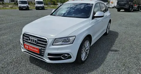 Annonce AUDI SQ5 Diesel 2017 d'occasion 