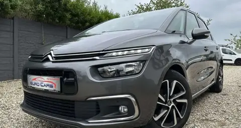 Annonce CITROEN C4 Diesel 2020 d'occasion Belgique