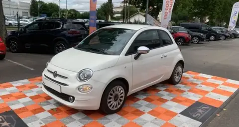 Used FIAT 500 Petrol 2023 Ad 