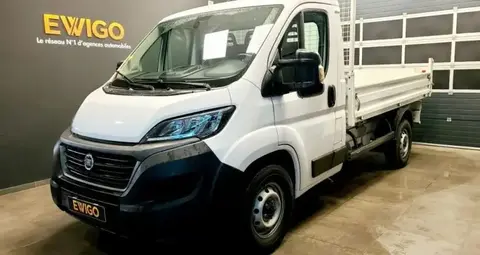 Used FIAT DUCATO Diesel 2021 Ad 