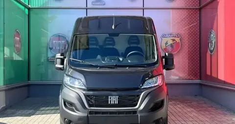 Annonce FIAT DUCATO Diesel 2024 d'occasion 