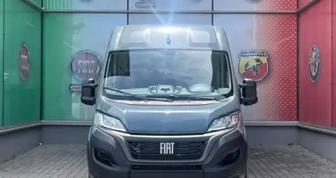 Annonce FIAT DUCATO Diesel 2024 d'occasion 