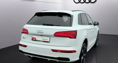 Used AUDI SQ5 Diesel 2020 Ad 