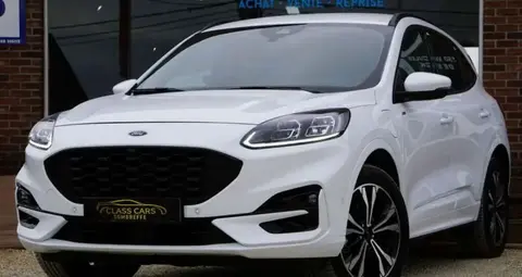 Annonce FORD KUGA Hybride 2023 d'occasion 