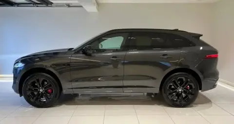 Used JAGUAR F-PACE Hybrid 2024 Ad 