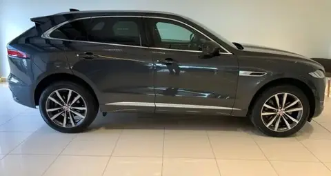 Used JAGUAR F-PACE Hybrid 2021 Ad 