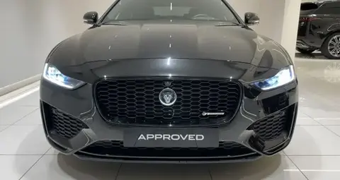 Used JAGUAR XE Not specified 2023 Ad 