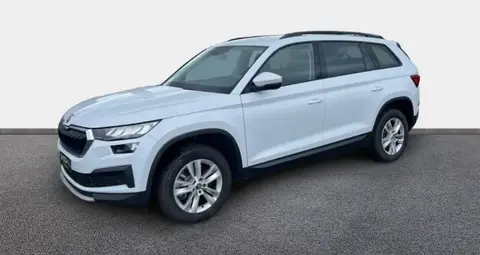 Used SKODA KODIAQ Diesel 2022 Ad 