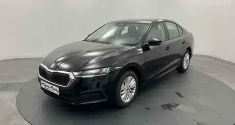 Used SKODA OCTAVIA Diesel 2023 Ad 