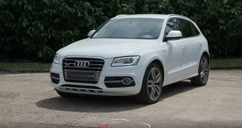 Annonce AUDI SQ5 Diesel 2016 d'occasion 