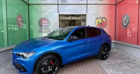 Annonce ALFA ROMEO STELVIO Diesel 2024 d'occasion 