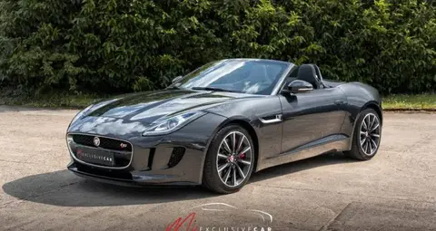 Used JAGUAR F-TYPE Petrol 2015 Ad 