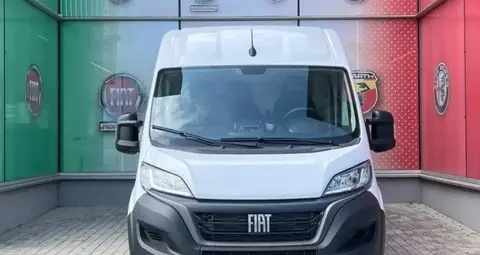 Annonce FIAT DUCATO Diesel 2024 d'occasion 