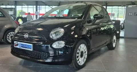 Annonce FIAT 500 Essence 2020 d'occasion 