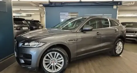 Used JAGUAR F-PACE Diesel 2019 Ad 