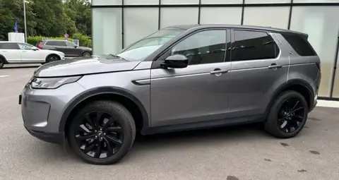 Used LAND ROVER DISCOVERY Diesel 2019 Ad 