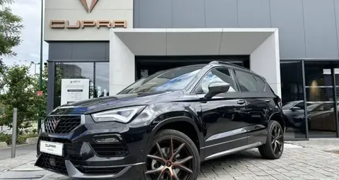 Annonce CUPRA ATECA Essence 2024 d'occasion 