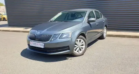 Annonce SKODA OCTAVIA Diesel 2018 d'occasion 