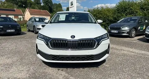 Annonce SKODA OCTAVIA Diesel 2024 d'occasion 