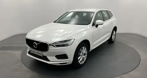 Annonce VOLVO XC60 Diesel 2019 d'occasion 