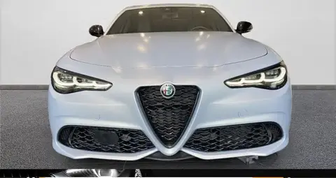 Used ALFA ROMEO GIULIA Diesel 2024 Ad 