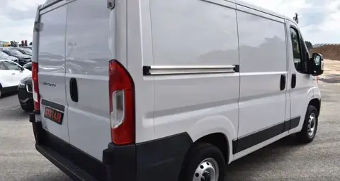 Annonce FIAT DUCATO Diesel 2021 d'occasion 