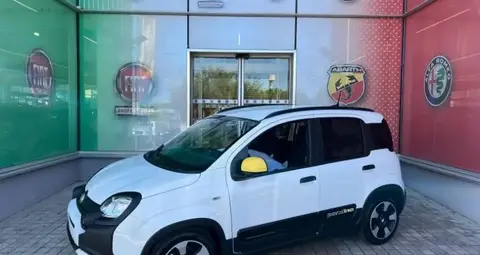 Used FIAT PANDA Hybrid 2024 Ad 