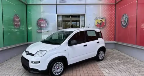 Annonce FIAT PANDA Hybride 2024 d'occasion 