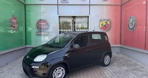 Annonce FIAT PANDA Hybride 2024 d'occasion 