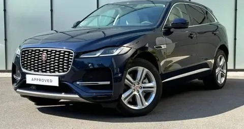 Used JAGUAR F-PACE Hybrid 2023 Ad 