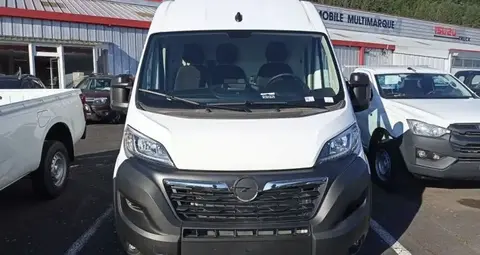 Annonce OPEL MOVANO Diesel 2024 d'occasion 