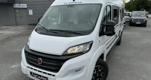 Used FIAT DUCATO Diesel 2021 Ad 