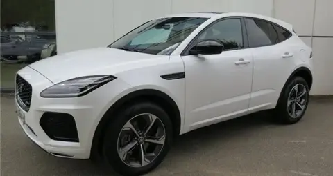 Used JAGUAR E-PACE Hybrid 2024 Ad 