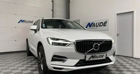 Used VOLVO XC60 Hybrid 2019 Ad 