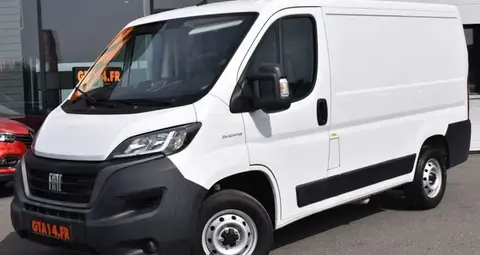 Used FIAT DUCATO Diesel 2021 Ad 