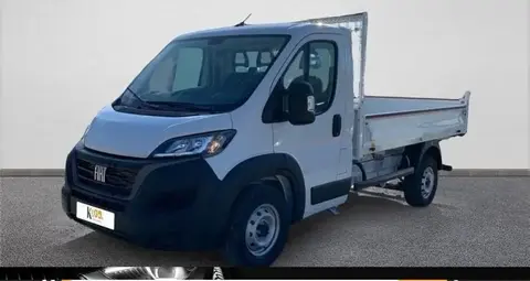 Annonce FIAT DUCATO Diesel 2023 d'occasion 