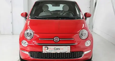 Used FIAT 500 Petrol 2023 Ad 