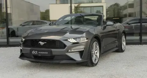 Used FORD MUSTANG Petrol 2019 Ad 