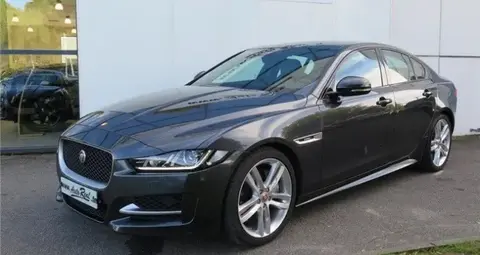 Used JAGUAR XE Petrol 2019 Ad 