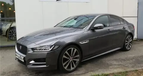 Annonce JAGUAR XE Diesel 2017 d'occasion 